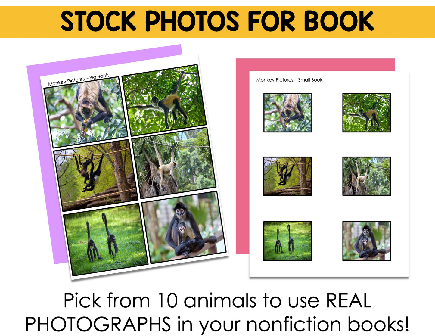 Informational Unit for Kindergarten Writing