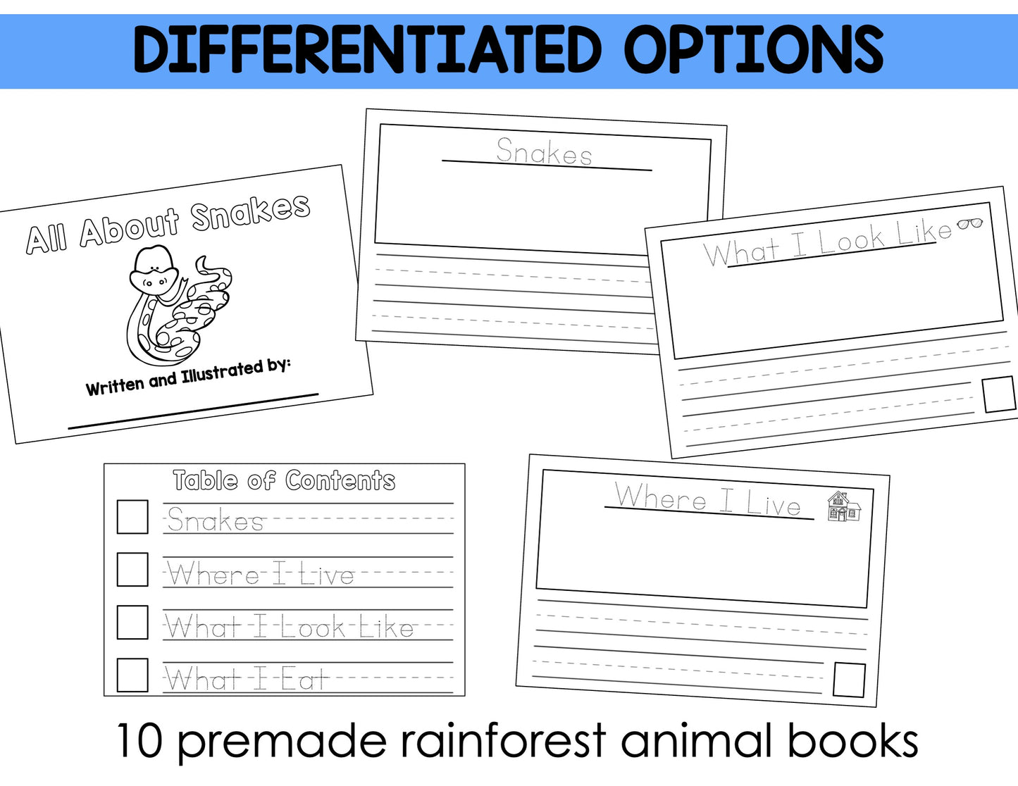 Informational Unit for Kindergarten Writing