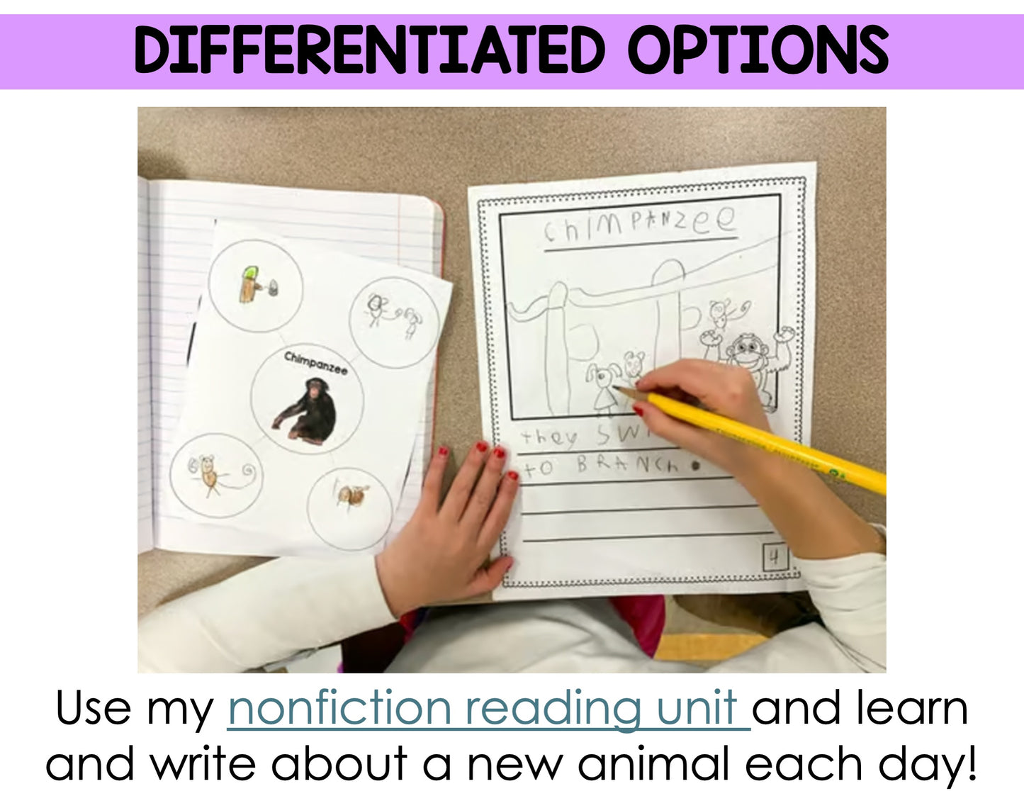Informational Unit for Kindergarten Writing