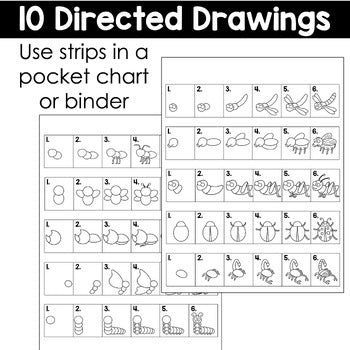 Insect Directed Drawings | Bugs | Spring – ThatKinderMama