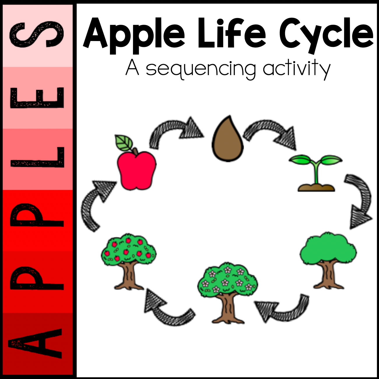 Apple Tree Life Cycle Sequencing | Book | Poster | Printable